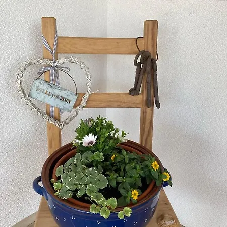 Ferienbungalow Zur Wolfsgrube *